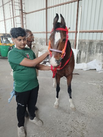 थंबनेल 2