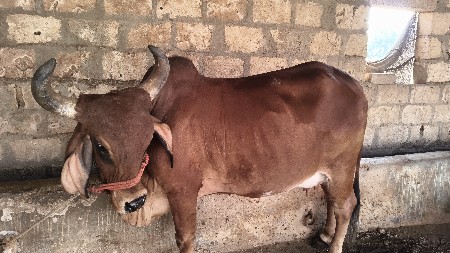 નંબર 9825277729