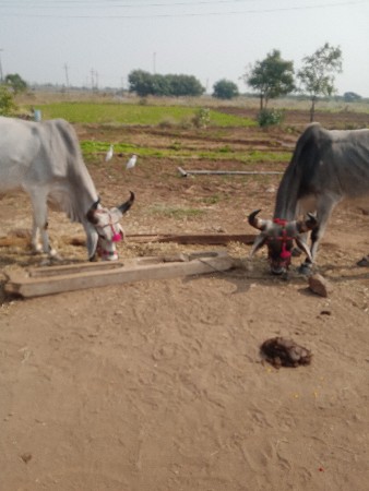 थंबनेल 3