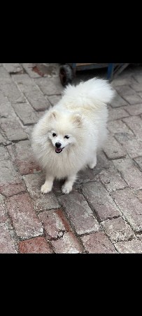 મિટિંગ માટે