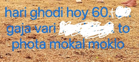 ઘોડી લેવા ની છે