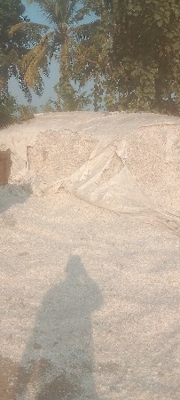 લસણની ફોતરી દેવાની છે કોયને