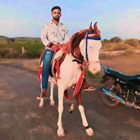 थंबनेल 3