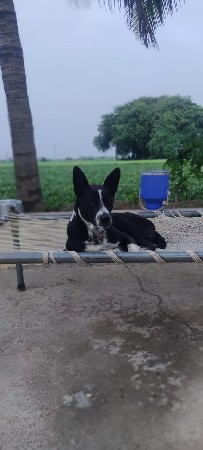 થંબનેલ 3