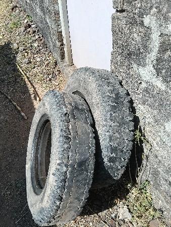 थंबनेल 3