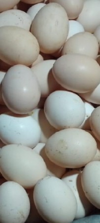 desi enda devana che