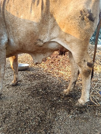 થંબનેલ 3