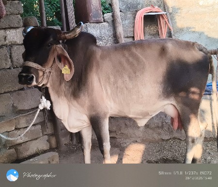 थंबनेल 2