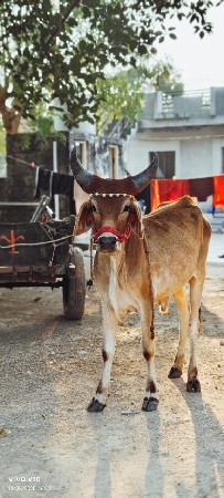 આ ની જોડ કરવા ની છે