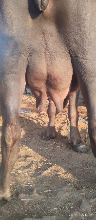 थंबनेल 2