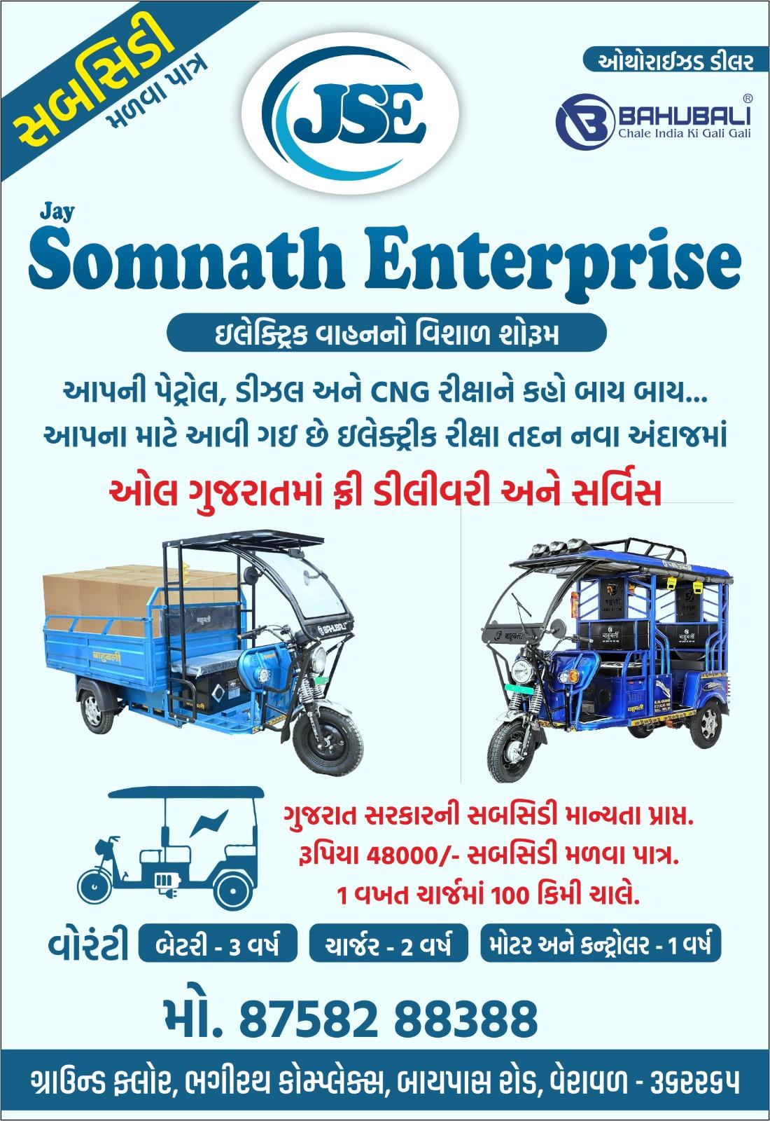 ઇલેક્ટ્રીક રીક્ષા - પેસેંજર અને લોડીંગ