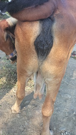 થંબનેલ 3