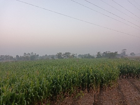 थंबनेल 3