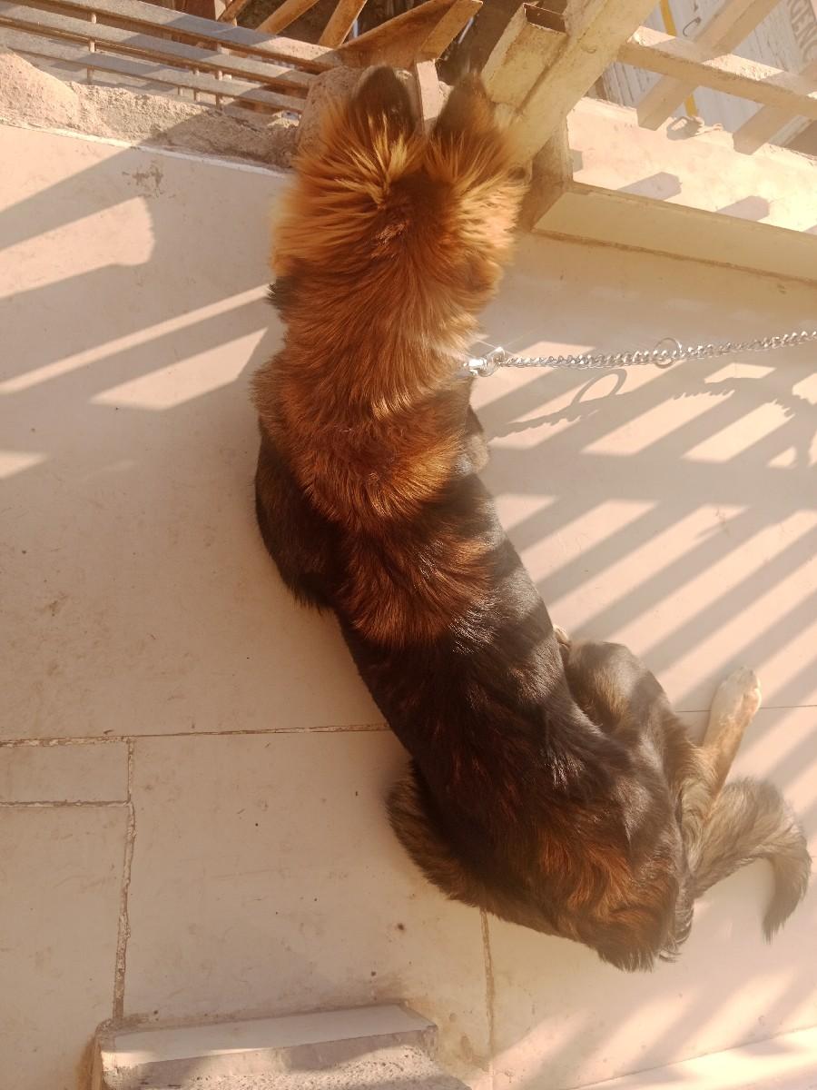 થંબનેલ 3