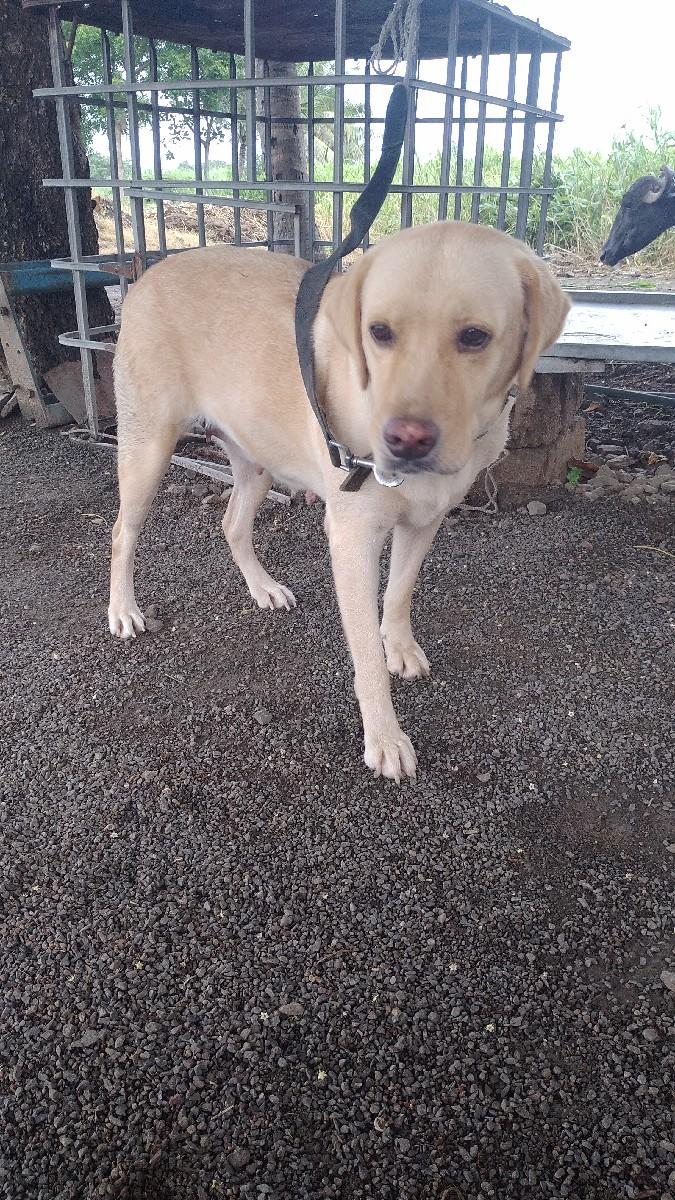 थंबनेल 2