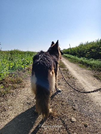 મિટિંગ માટે