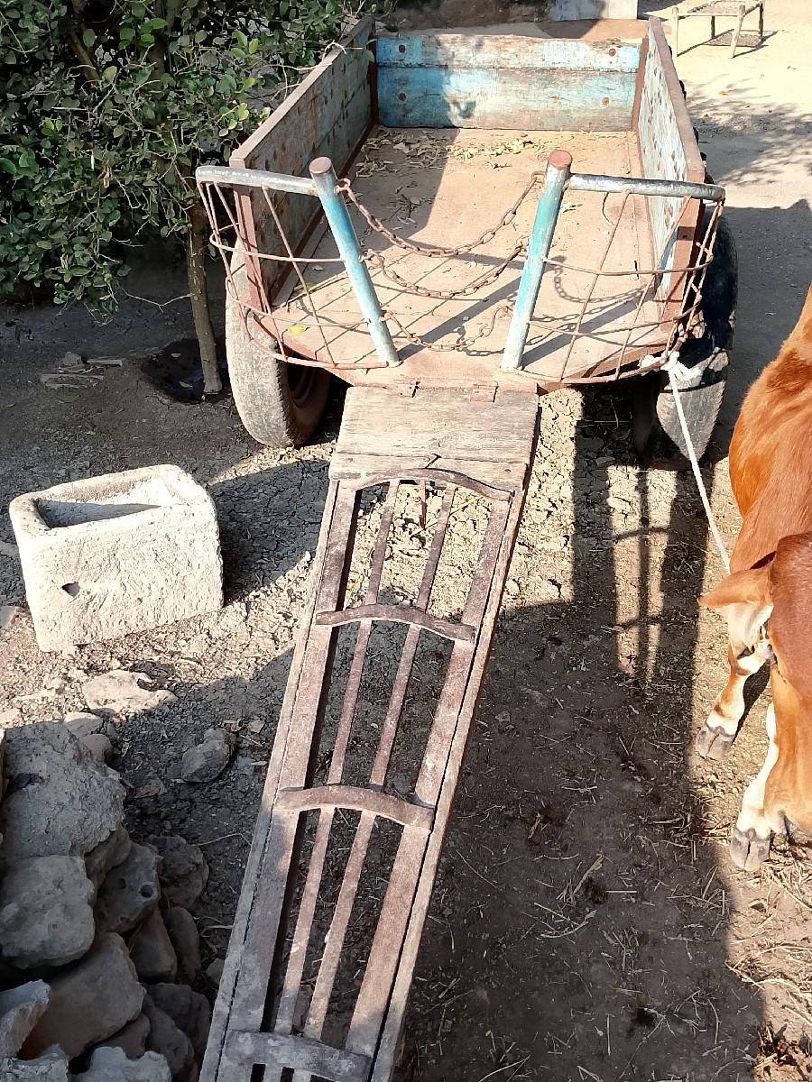 થંબનેલ 3