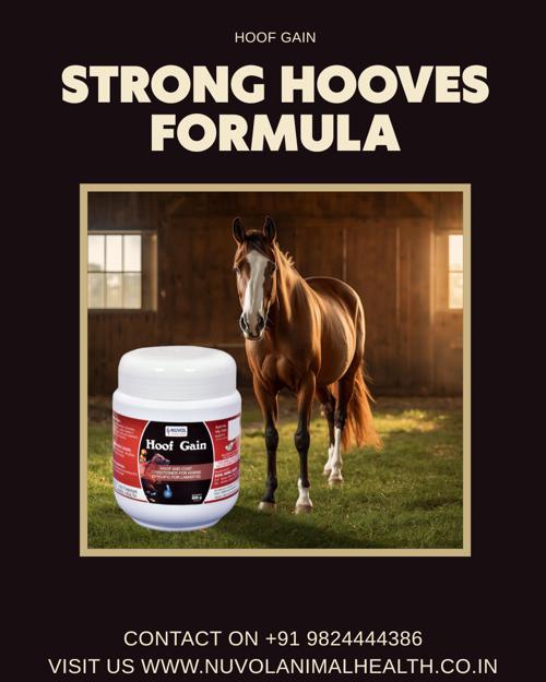હૂફ ગેઈન પાવડર
Hoof Gain Powder