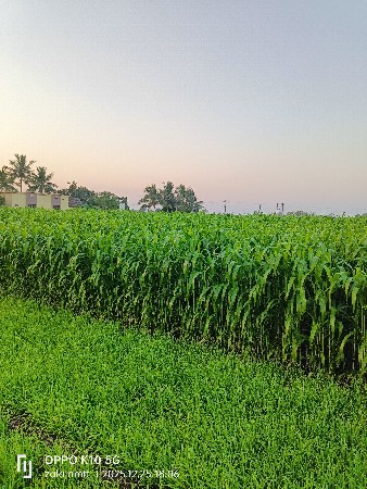 થંબનેલ 3