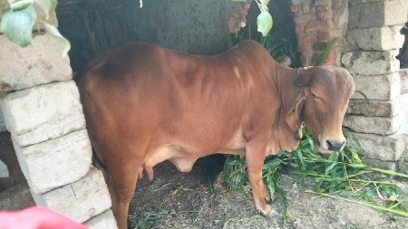 थंबनेल 2