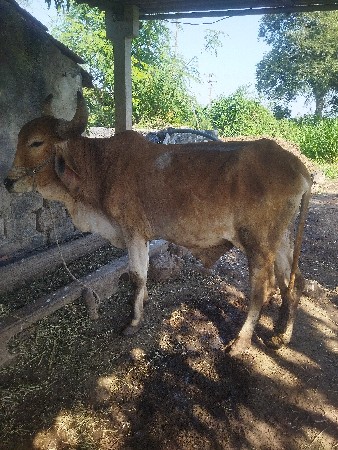 થંબનેલ 3