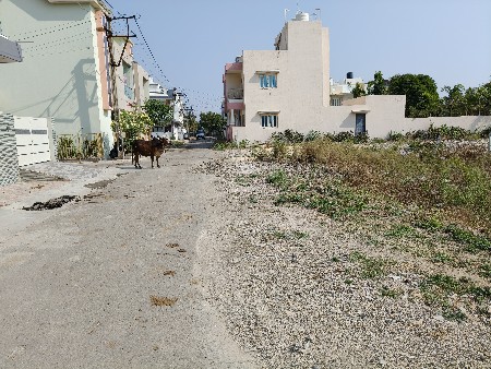 પ્લોટ વેચવાનો છે