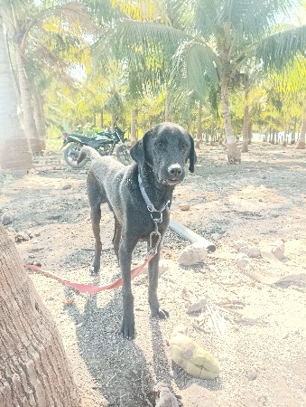 થંબનેલ 2