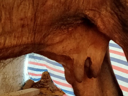 થંબનેલ 3