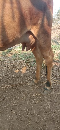 थंबनेल 3