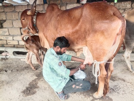 થંબનેલ 1