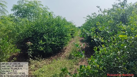 થંબનેલ 3