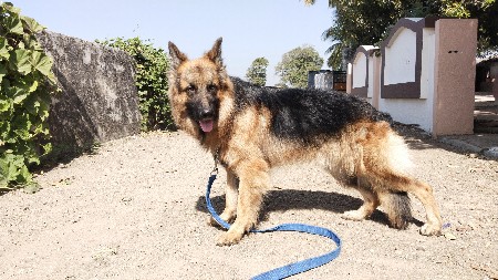 थंबनेल 2