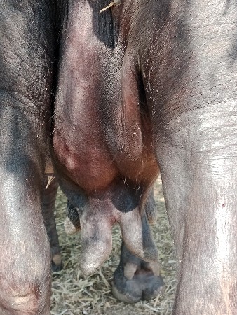 थंबनेल 2