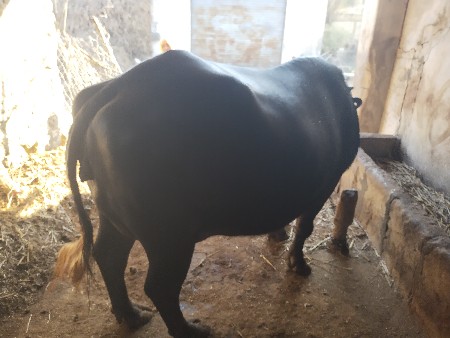 થંબનેલ 3