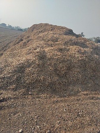 15 વીઘા મગફળી નો ભૂકો વેચવાનો છે