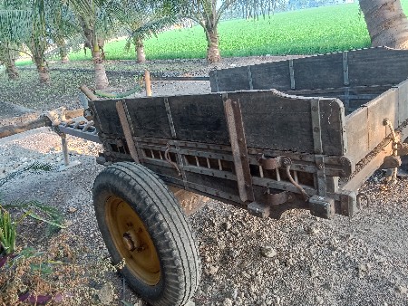 थंबनेल 3