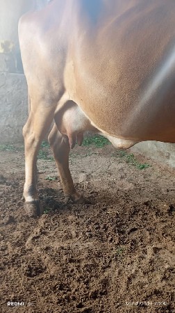 थंबनेल 2