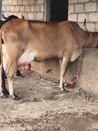 थंबनेल 2