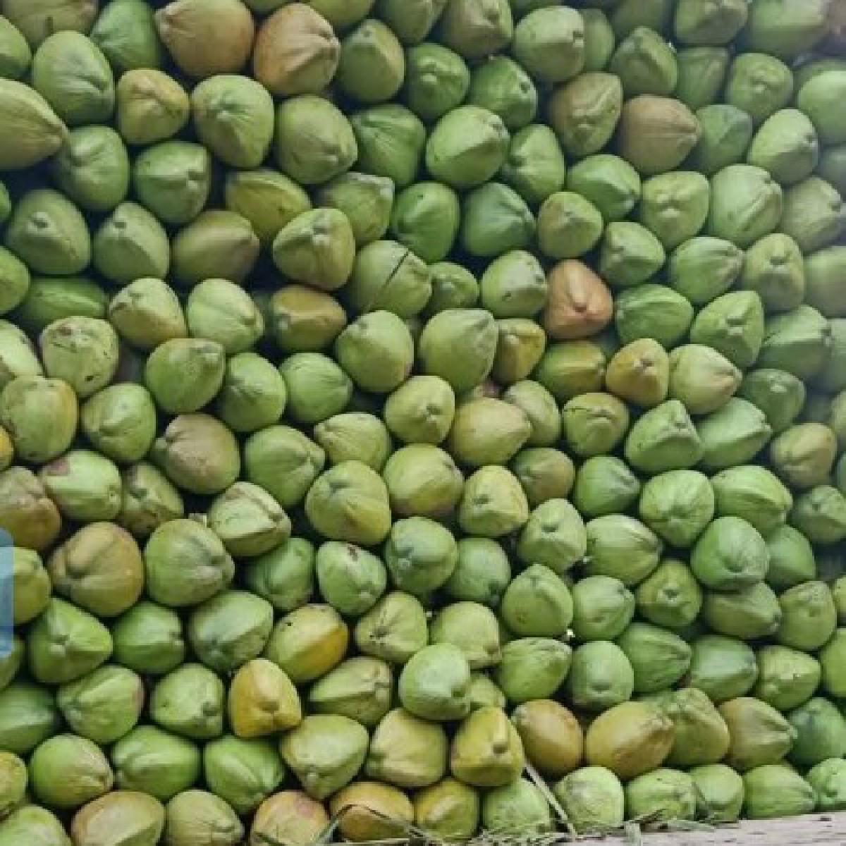 લેવા  માટે