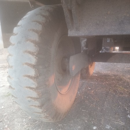 tolina tayr veshvanase