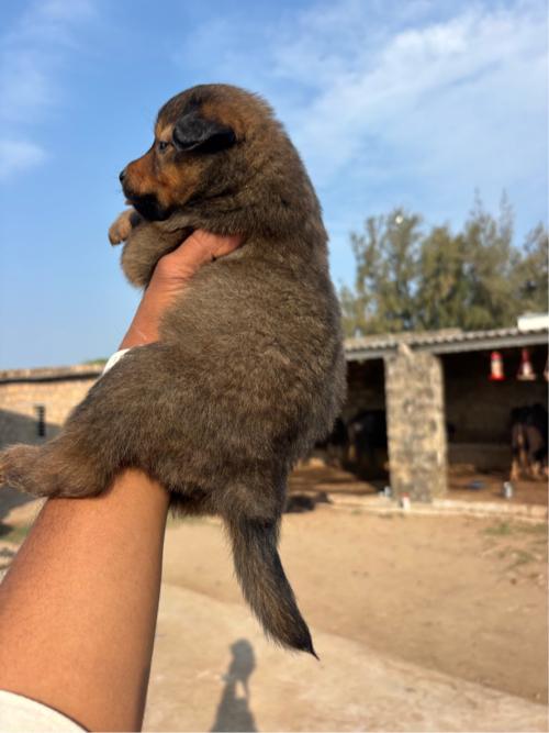 થંબનેલ 3