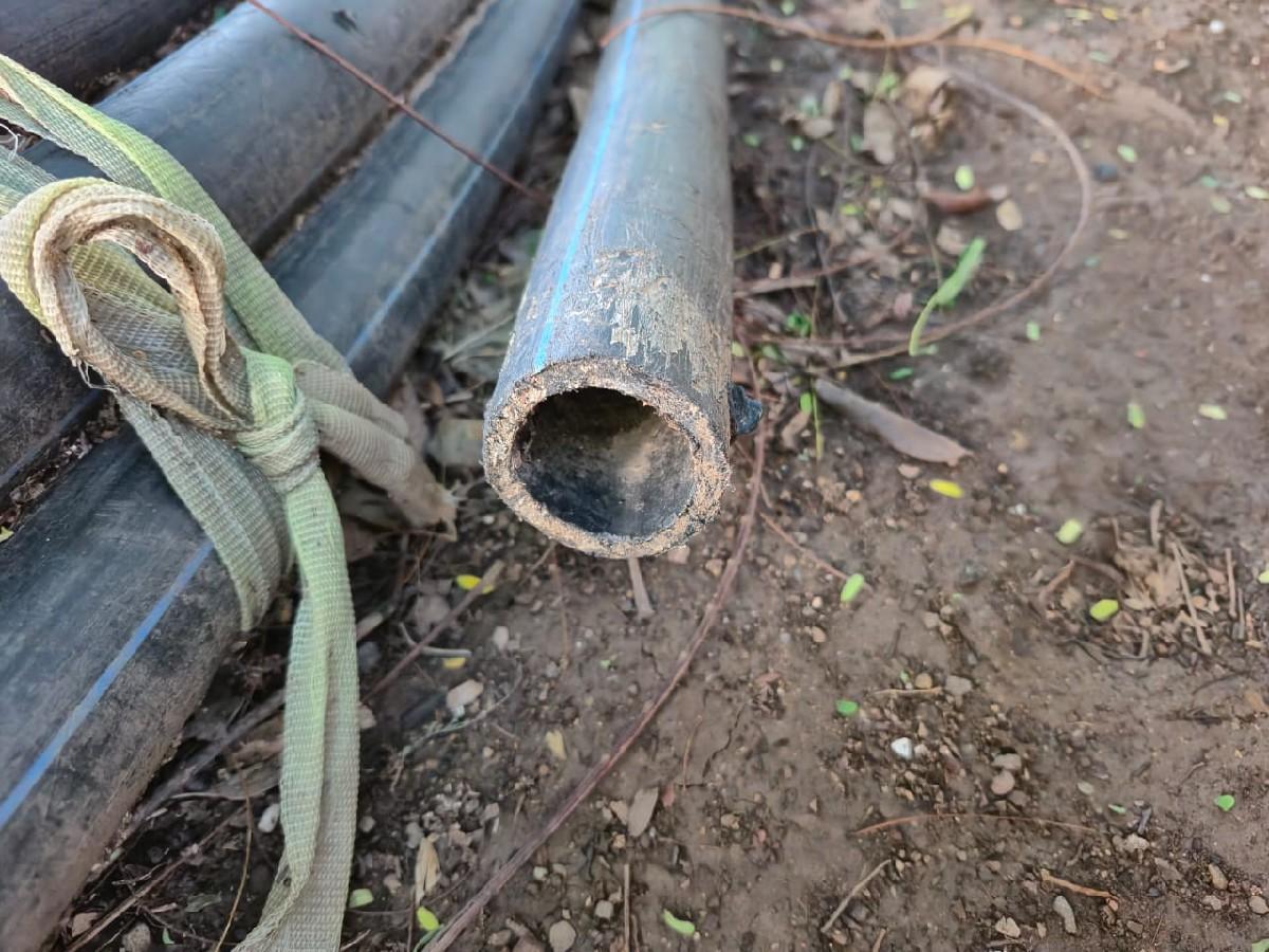 10  ગેજી બબો 300 ફૂટ