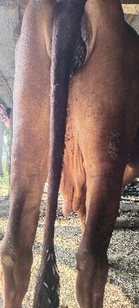 15 દિવસ ની કાશી સે