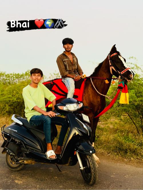 ઘોડા ના સાટા