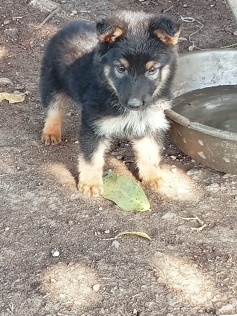 થંબનેલ 3