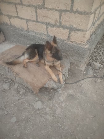 थंबनेल 2