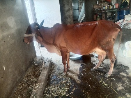 થંબનેલ 3