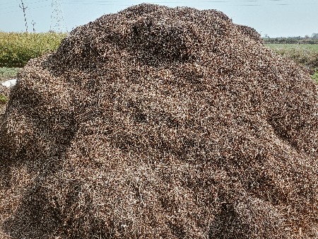 39 નો ચારોન વેચવાનો છે.