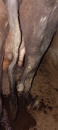 थंबनेल 2