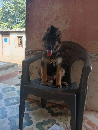 थंबनेल 3